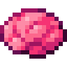 Brain