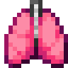 Lungs